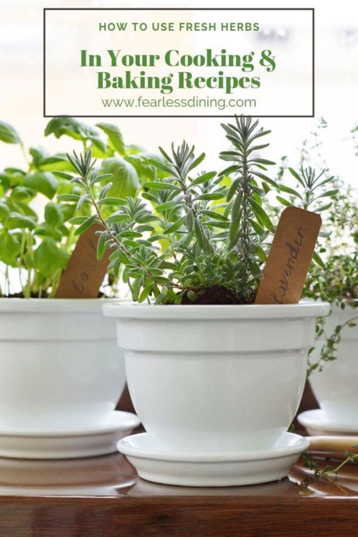 How To Use Fresh Herbs In Your Cooking - Fearless Dining