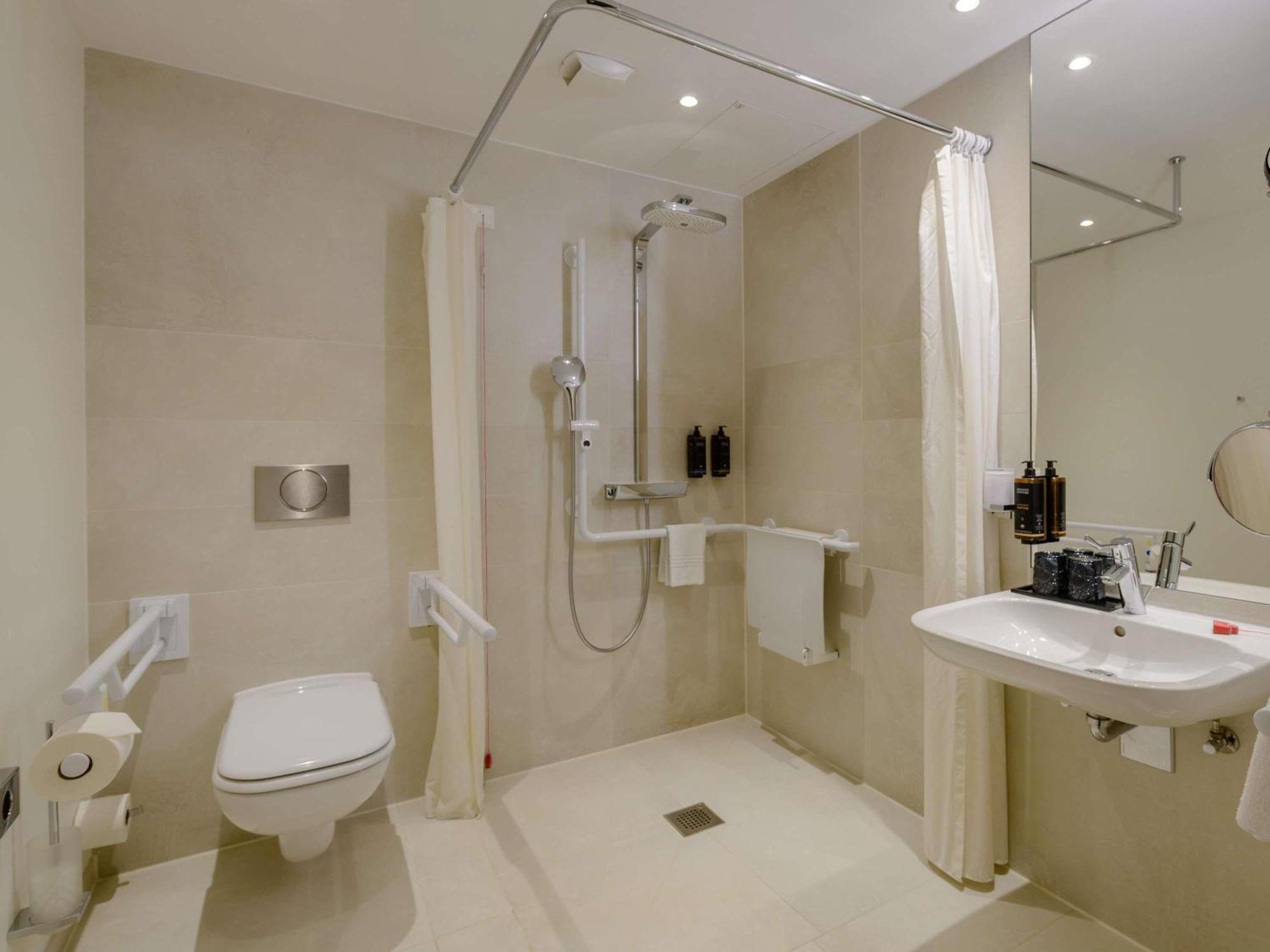 Standaard Kamer met Queensize Bed en Rolstoeltoegankelijke Badkamer