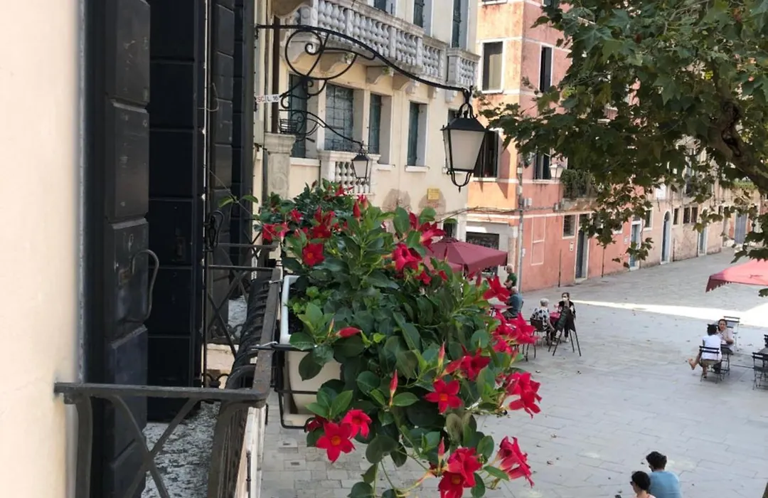 B&B Patatina-1
