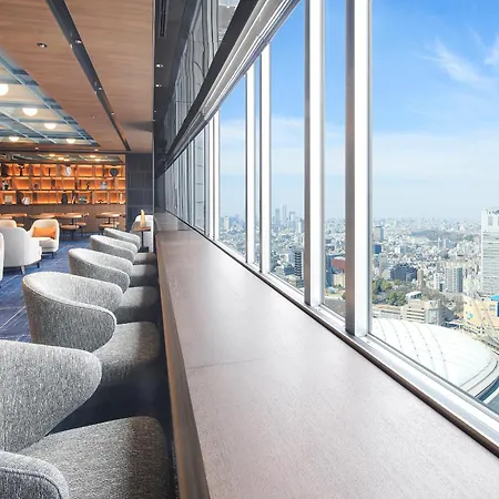 Tokyo Dome Hotel-2