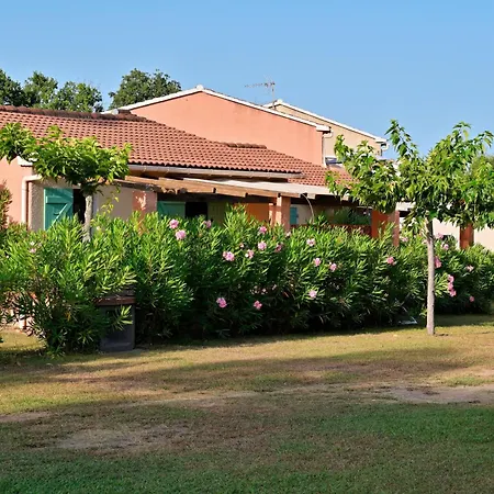 Pinea Mare-2