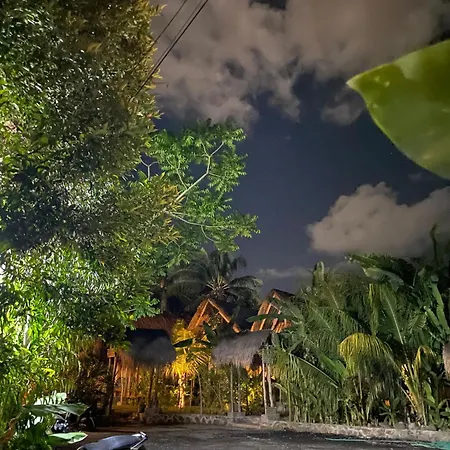 Palm Green Hotel-3