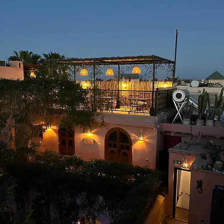 Riad Chameleon-3