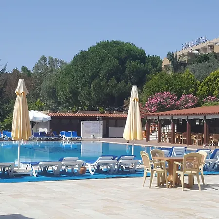 Pigale Family Club-2