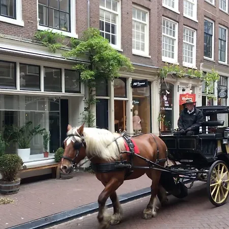 Amsterdam Barangay-3