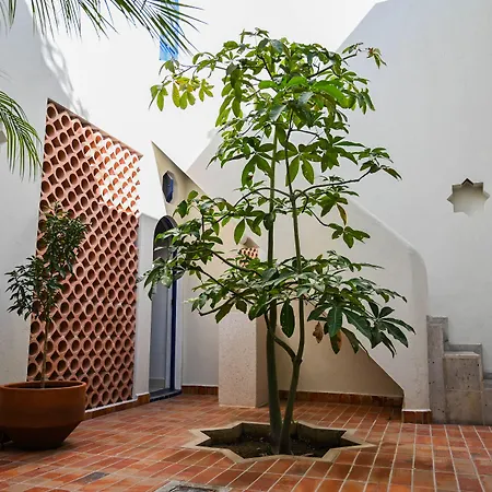 Casa Kali by Barrio México-3