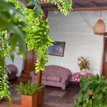 Hotel Casa Posada Don Chepe-3