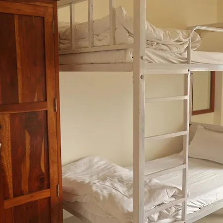 Chillout Hostel Jaipur-2