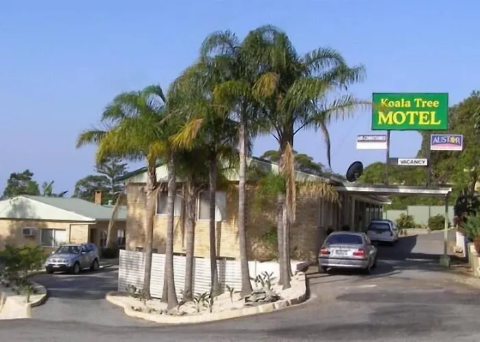 Koala Tree Motel Port Macquarie