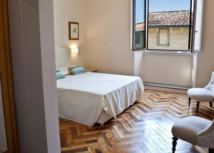 Il Dromedario